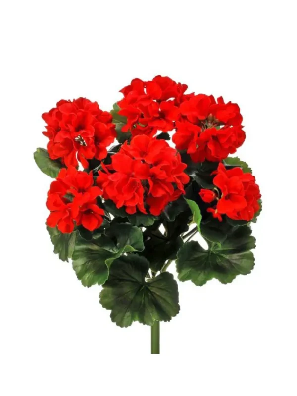Aldik Home Flowering Bushes<Geranium Bush 17 in. Red