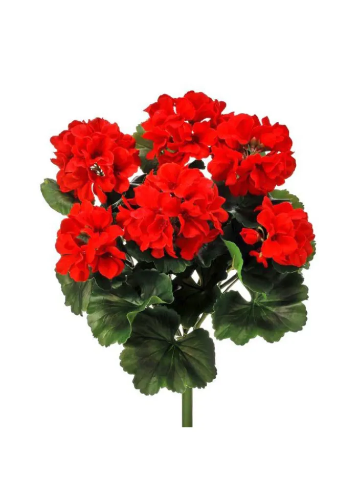 geranium_bush__in_red_0.webp Aldik Home Flowering Bushes<Geranium Bush 17 in. Red