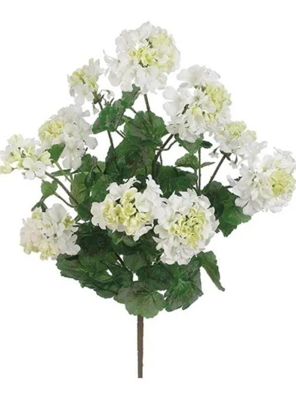 Aldik Home Flowering Bushes<Geranium Bush 24 in. White
