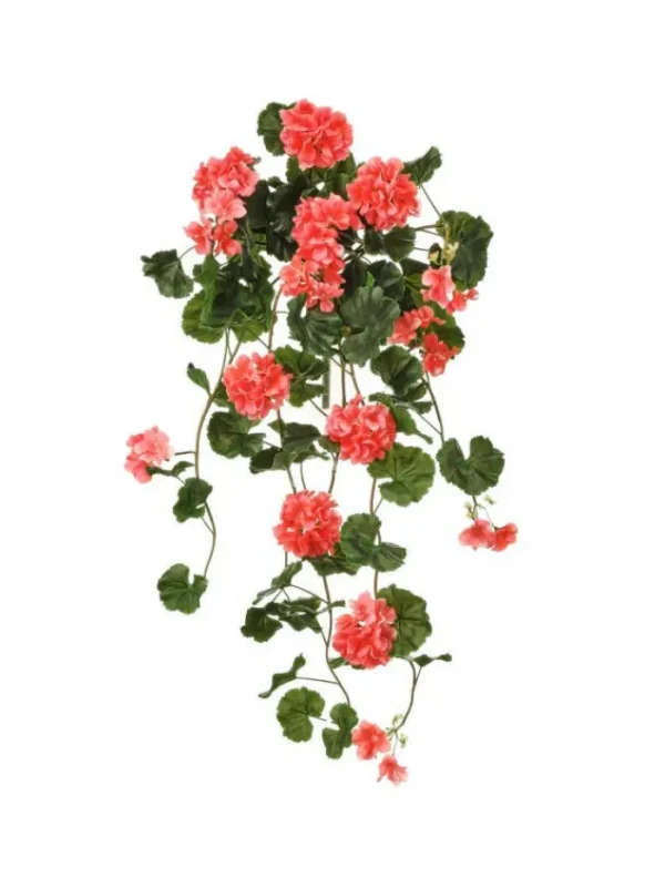 Aldik Home Flowering Bushes<Hanging Geranium Plant 36 in. Salmon