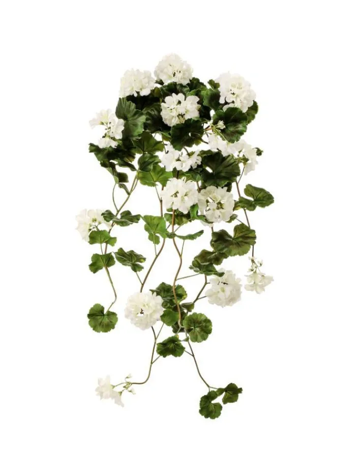hanging_geranium_plant__i_0.webp Aldik Home Flowering Bushes<Hanging Geranium Plant 36 in. White