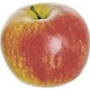 Aldik Home Fruit And Vegetables<Honeycrisp Apple 4 in. Red