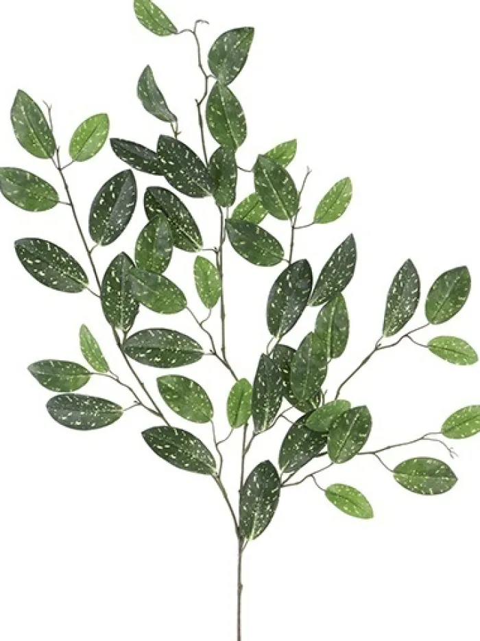 hoya_hanging_spray__in_0.webp Aldik Home Tropical Plants & Flowers<Hoya Hanging Spray 34 in.