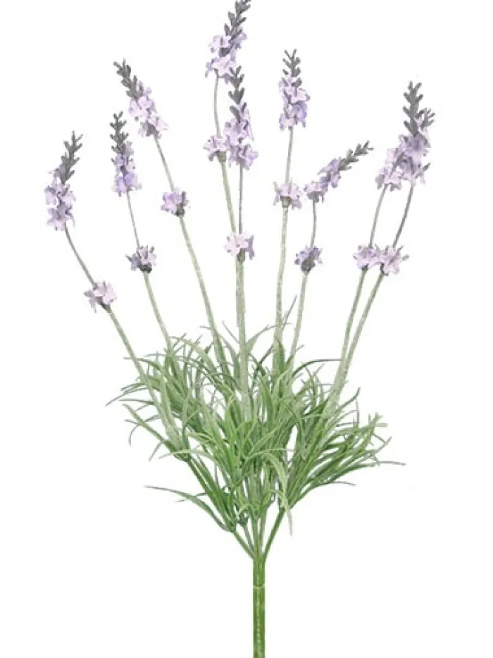 lavender_bush__in_0.webp Aldik Home Flowering Bushes<Lavender Bush 14 in.