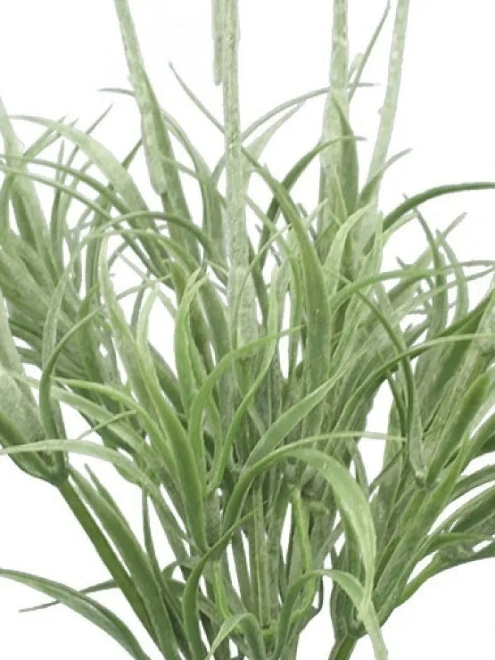 lavender_bush__in_1.webp Aldik Home Flowering Bushes<Lavender Bush 14 in.