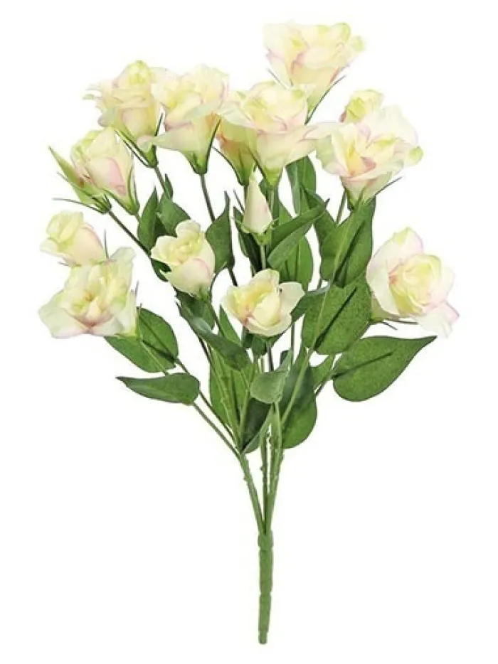 lisianthus_bush__in_pink__0.webp Aldik Home Flowering Bushes<Lisianthus Bush 20.5 in. Pink / Cream
