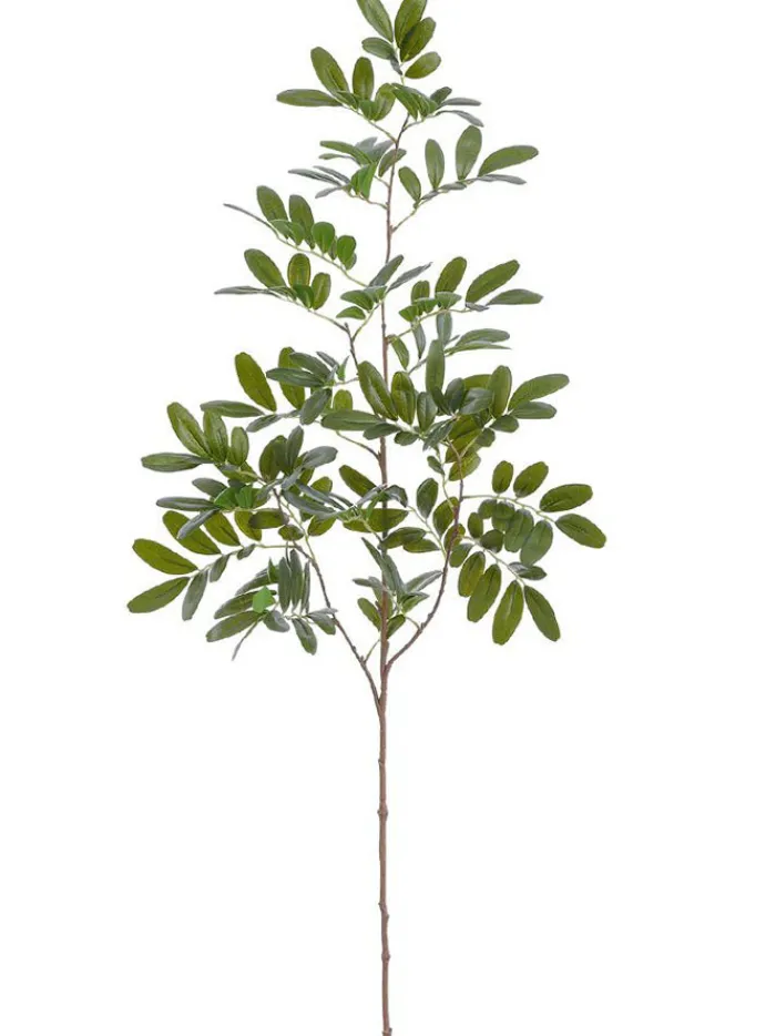 locust_leaf_spray__in_gre_0.webp Aldik Home Artificial Tree Branches | Tropical Plants & Flowers<Locust Leaf Spray 37.5 in. Green