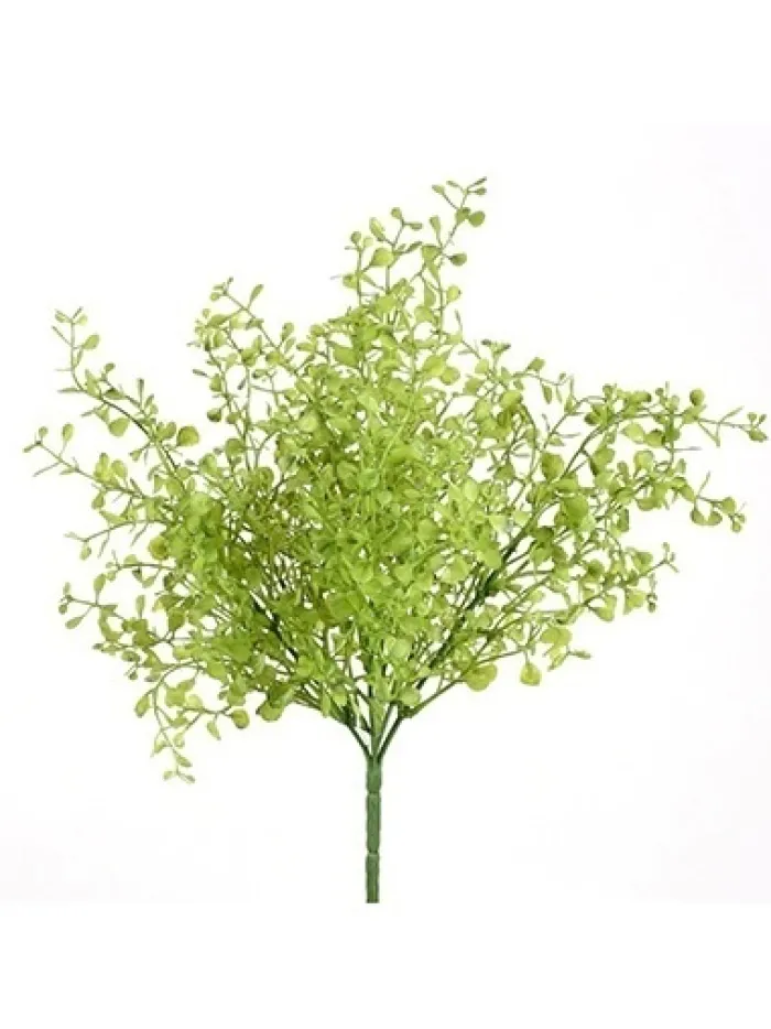 maidenhair_bush__in_green_0.webp Aldik Home Desk Plants | Tropical Plants & Flowers<Maidenhair Bush 12 in. Green