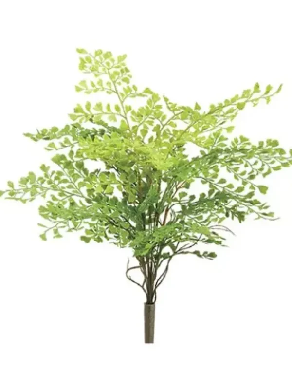 Aldik Home Tropical Plants & Flowers<Maidenhair Fern 18 in.