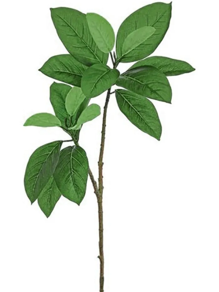 mangrove_leaf_spray__in_g_0.webp Aldik Home Artificial Tree Branches | Tropical Plants & Flowers<Mangrove Leaf Spray 36 in. Green