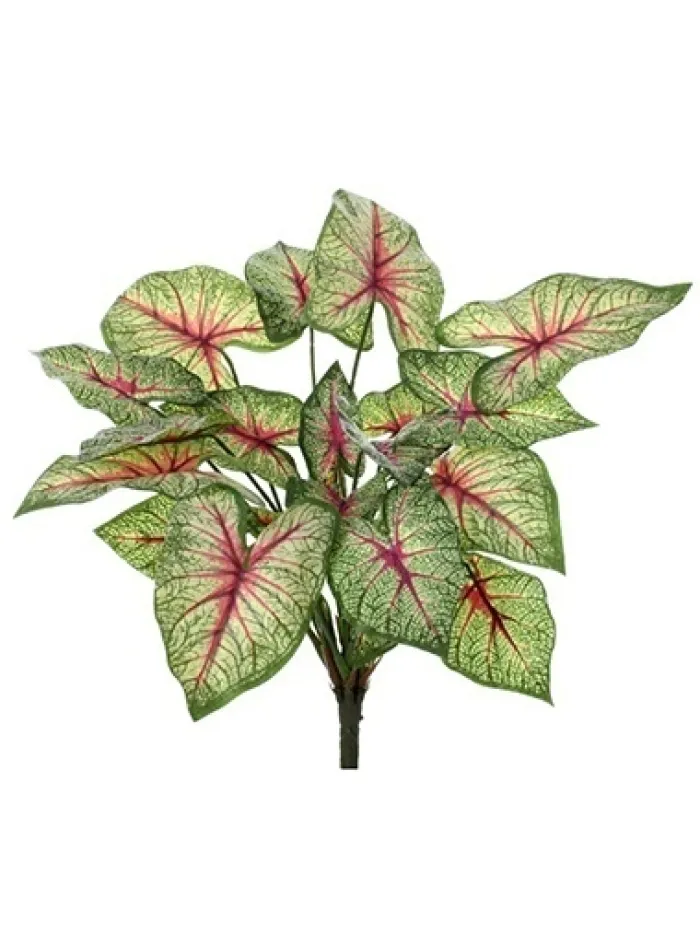 natural_touch_calladium___0.webp Aldik Home Tropical Plants & Flowers<Natural Touch Calladium 13 in.