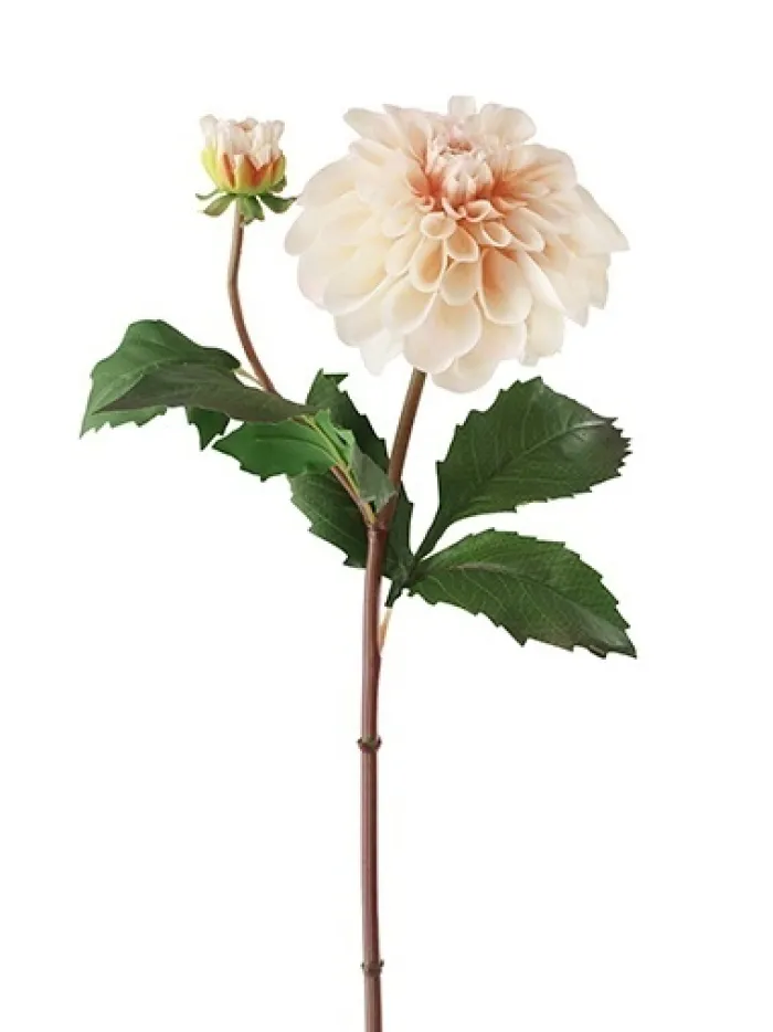 natural_touch_dahlia__in__0-2.webp Aldik Home Natural Touch Silk Flowers<Natural Touch Dahlia 25 in. Blush