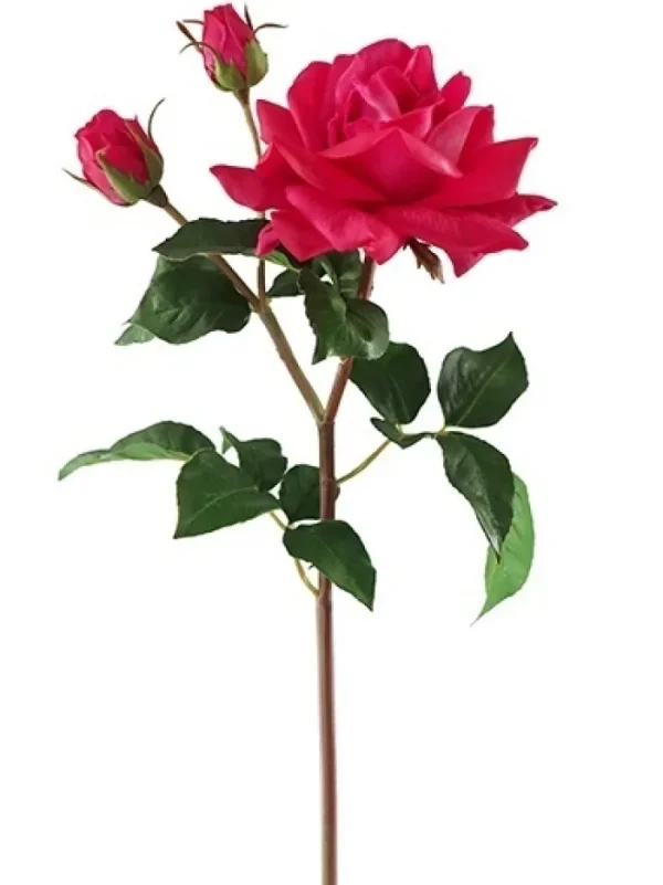 Aldik Home Silk Roses | Natural Touch Silk Flowers<Natural Touch Garden Rose 22 in. Fuchsia