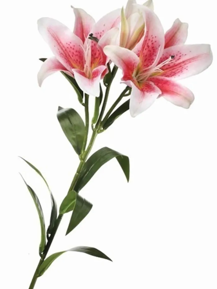 natural_touch_lily__in_pi_0.webp Aldik Home Natural Touch Silk Flowers<Natural Touch Lily 34 in. Pink / White