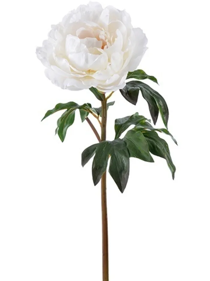 natural_touch_peony__in_b_0.webp Aldik Home Natural Touch Silk Flowers<Natural Touch Peony 20.5 in. Beige