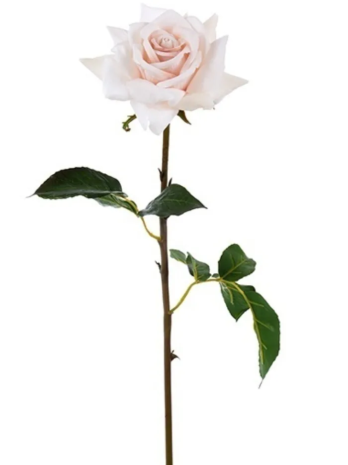 natural_touch_rose_dutche_0-2.webp Aldik Home Natural Touch Silk Flowers | Silk Roses<Natural Touch Rose Dutchess Open 20 in. Deep Pink
