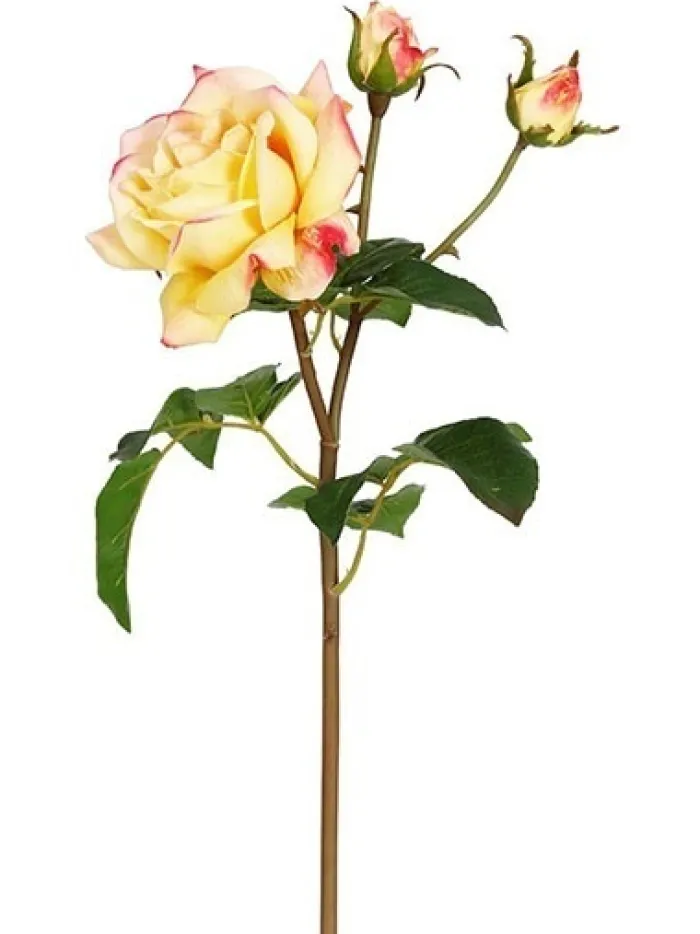natural_touch_rose_sweet__0-1.webp Aldik Home Natural Touch Silk Flowers | Silk Roses<Natural Touch Rose Sweet Juliet 22 in. Coral