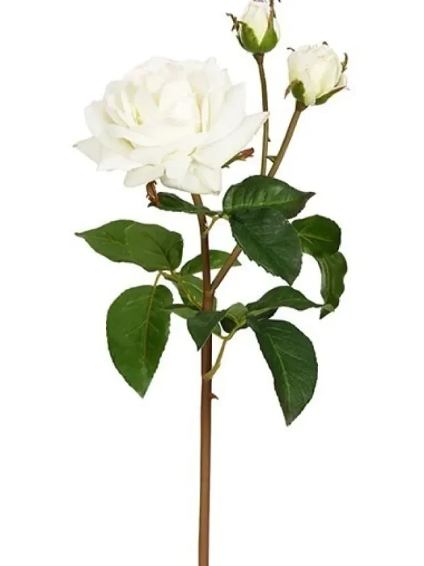Aldik Home Natural Touch Silk Flowers | Silk Roses<Natural Touch Rose Sweet Juliet 22 in. Cream