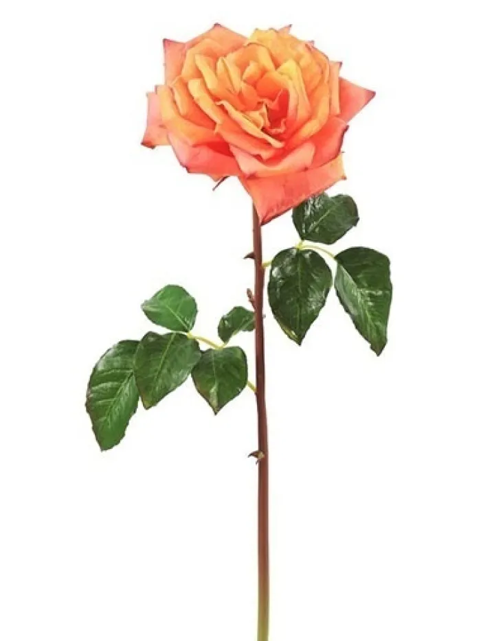 natural_touch_rose_westmi_0-3.webp Aldik Home Natural Touch Silk Flowers | Silk Roses<Natural Touch Rose Westminster 20.5 in. Yellow / Peach