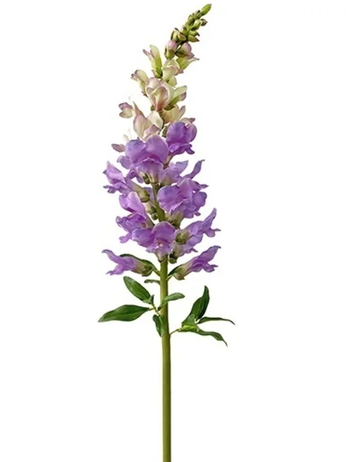 natural_touch_snapdragon__0.webp Aldik Home Natural Touch Silk Flowers<Natural Touch Snapdragon 30 in. Purple