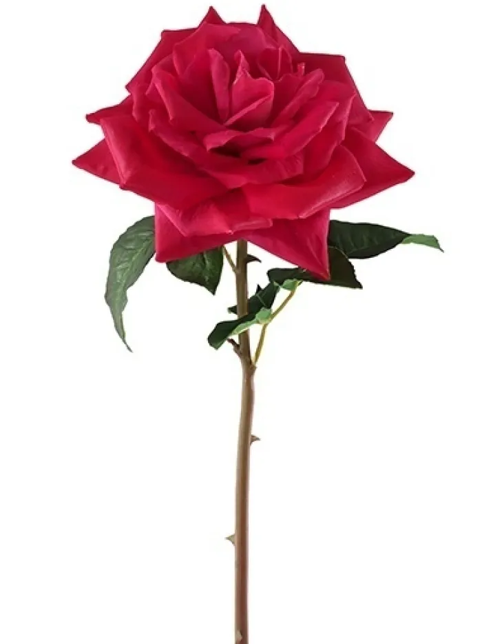 natural_touch_westminster_0.webp Aldik Home Natural Touch Silk Flowers | Silk Roses<Natural Touch Westminster Rose 20.5 in. Fuchsia