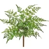 Aldik Home Desk Plants | Tropical Plants & Flowers<Natural Touch Winged Fern Bush 18 in.