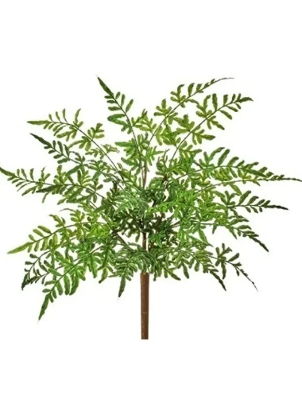 Aldik Home Desk Plants | Tropical Plants & Flowers<Natural Touch Winged Fern Bush 18 in.