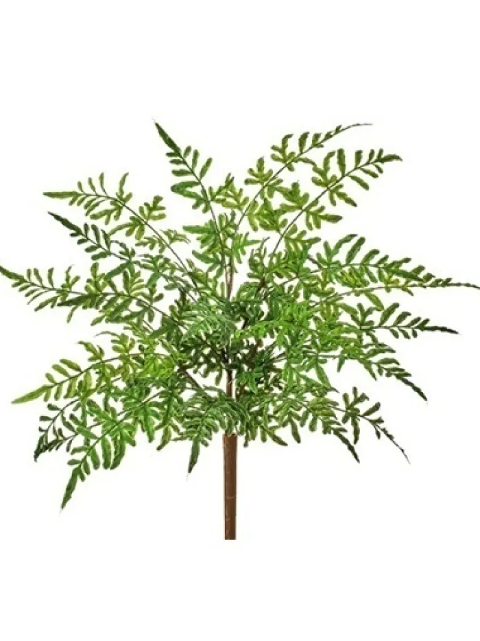 natural_touch_winged_fern_0.webp Aldik Home Desk Plants | Tropical Plants & Flowers<Natural Touch Winged Fern Bush 18 in.
