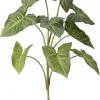 Aldik Home Tropical Plants & Flowers<Nephthytis Plant 32 in.
