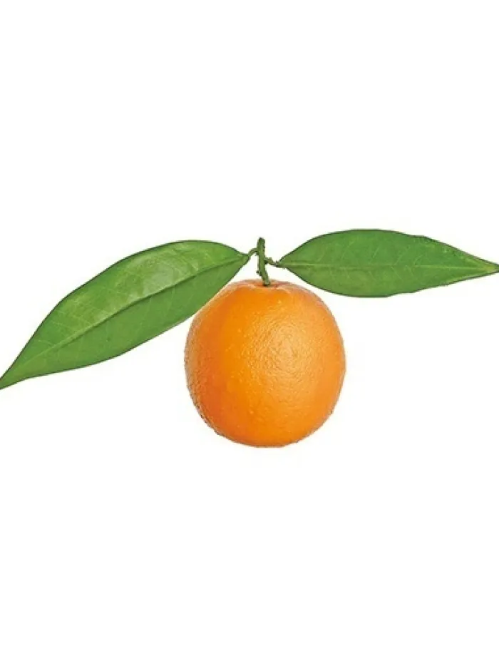 orange_w_leaves__in_0.webp Aldik Home Fruit And Vegetables<Orange w/ Leaves 4.5 in.