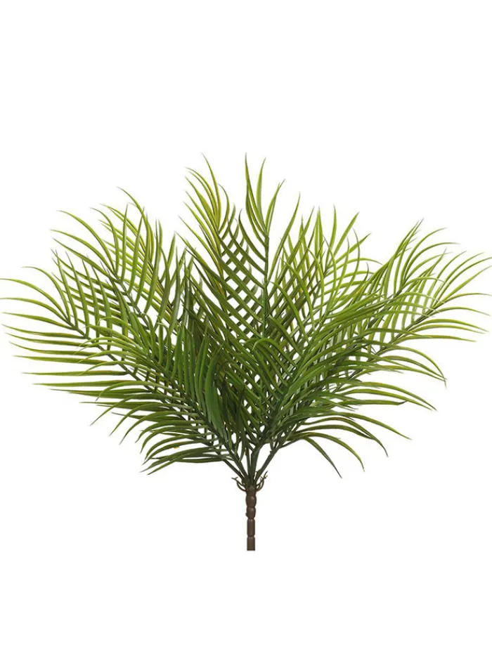 palm_bush__in_0.webp Aldik Home Desk Plants | Tropical Plants & Flowers<Palm Bush 19 in.