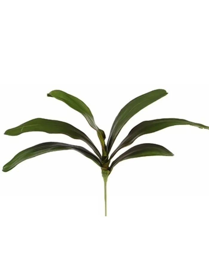 phalaenopsis_foliage__in_0-1.webp Aldik Home Silk Orchids<Phalaenopsis Foliage 18 in.