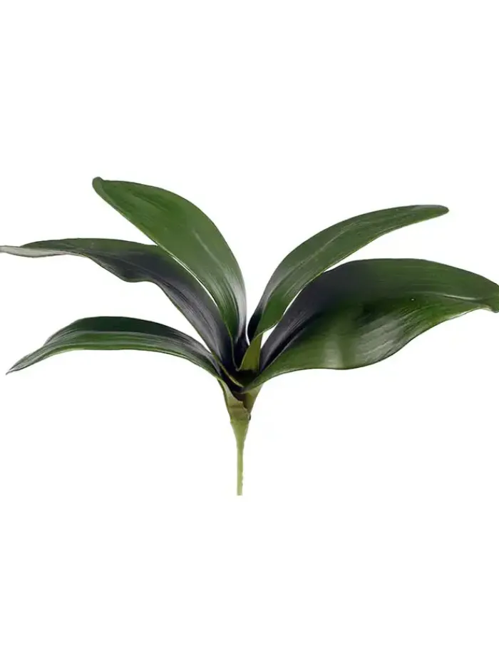 phalaenopsis_foliage__in_0.webp Aldik Home Silk Orchids<Phalaenopsis Foliage 11 in.
