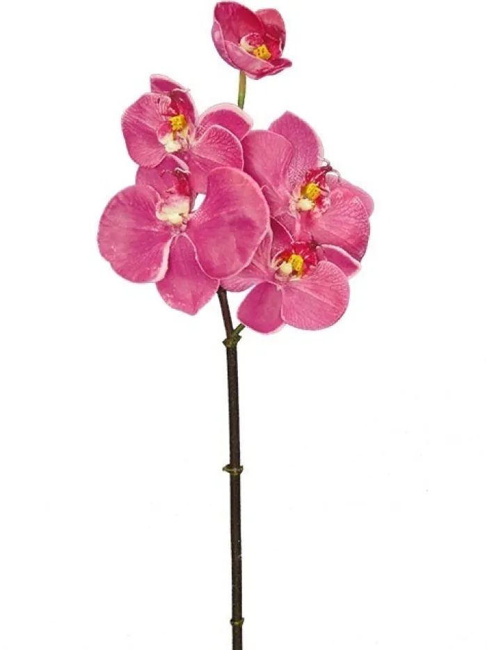 phalaenopsis_mini__in_fuc_0.webp Aldik Home Silk Orchids<Phalaenopsis Mini 20 in. Fuchsia