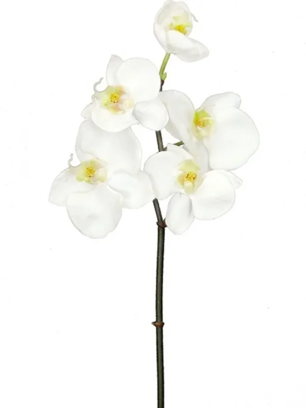 Aldik Home Silk Orchids<Phalaenopsis Mini 20 in. White