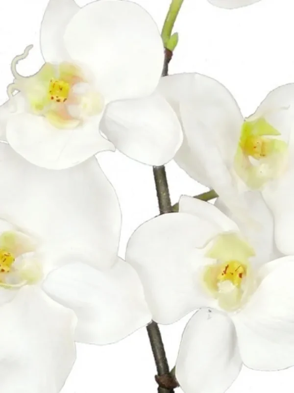 Aldik Home Silk Orchids<Phalaenopsis Mini 20 in. White