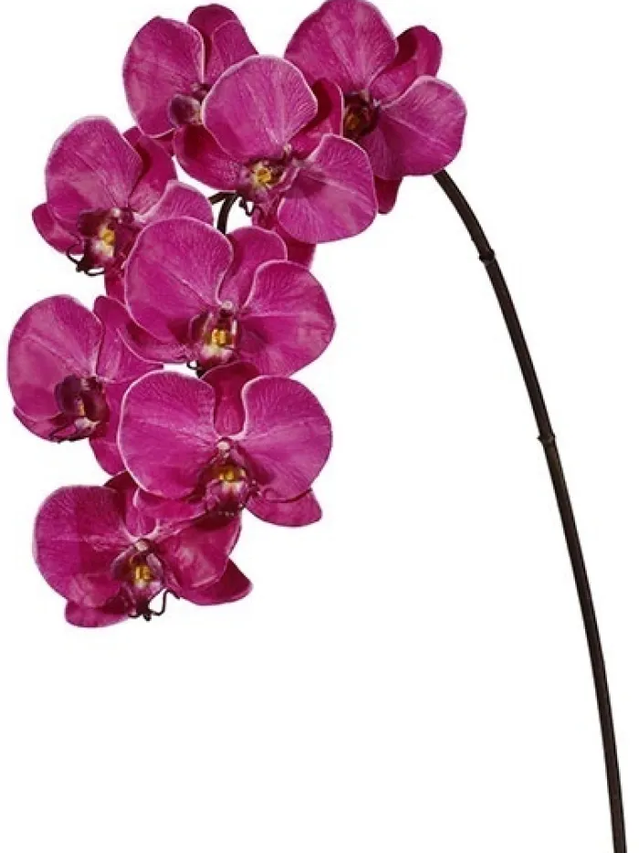 phalaenopsis_spray__in_fu_0.webp Aldik Home Silk Orchids<Phalaenopsis Spray 37.5 in. Fuchsia