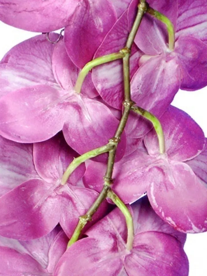 phalaenopsis_spray__in_fu_1.webp Aldik Home Silk Orchids<Phalaenopsis Spray 45 in. Fuchsia
