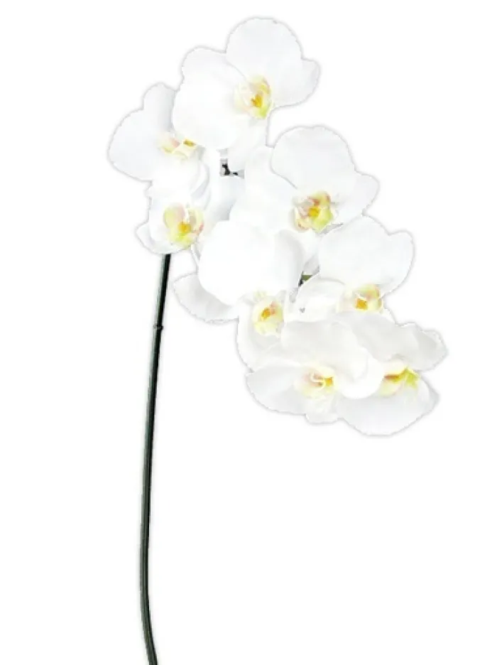 phalaenopsis_spray__in_wh_0.webp Aldik Home Silk Orchids<Phalaenopsis Spray 37.5 in. White