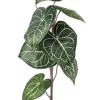 Aldik Home Tropical Plants & Flowers<Philo Gloriosa 28 in.