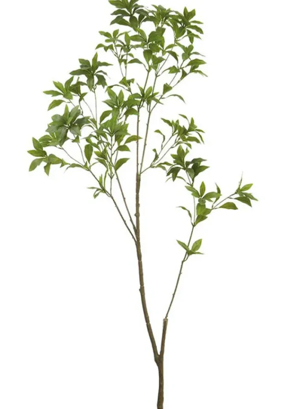 Aldik Home Tropical Plants & Flowers | Artificial Tree Branches<Pieris Japonica Branch 59 in. Green