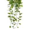 Aldik Home Tropical Plants & Flowers<Pothos Bush 39 in.