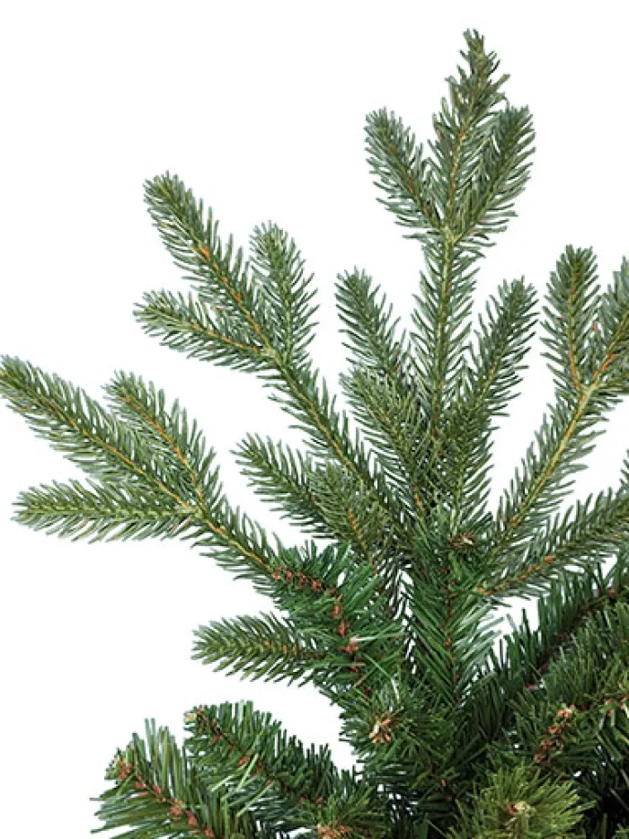 princeton_fraser_led__ft_1-2.webp Aldik Home Tall Christmas Trees | Pre Lit Christmas Trees<Princeton Fraser LED 12 FT