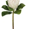 Aldik Home Tropical Plants & Flowers<Protea Large 32 in. White