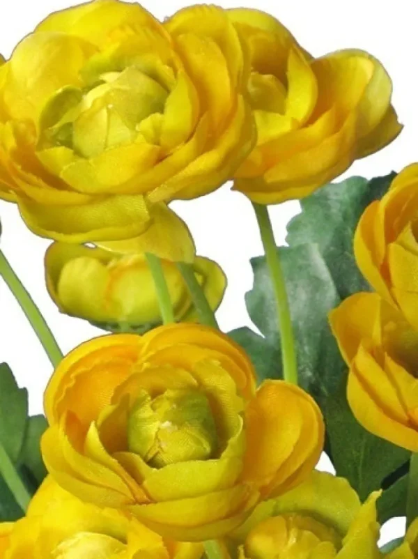 Aldik Home Flowering Bushes<Ranunculus Bush 13 in. Yellow