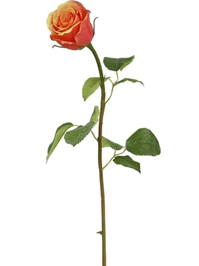 rose_bud__in_peach__red_0.webp Aldik Home Silk Roses<Rose Bud 19.5 in. Peach / Red