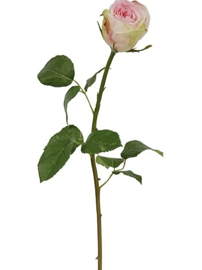 rose_bud__in_pink__white_0.webp Aldik Home Silk Roses<Rose Bud 19.5 in. Pink / White