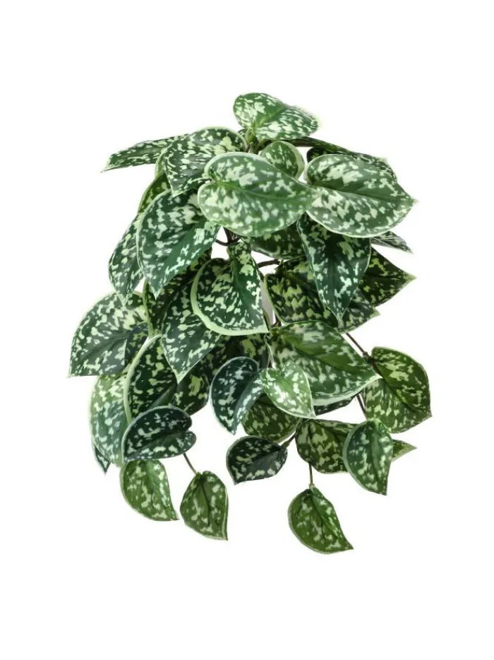 scindapsus_pictus_bush__i_0.webp Aldik Home Desk Plants<Scindapsus Pictus Bush 9 in. Green/White