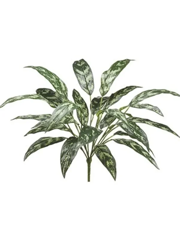 Aldik Home Tropical Plants & Flowers<Silver Queen 26 in. Dark Green