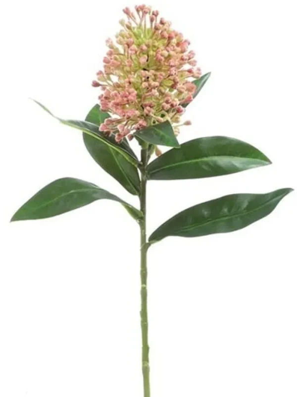 Aldik Home Tropical Plants & Flowers<Skimmia 13 in. Pink